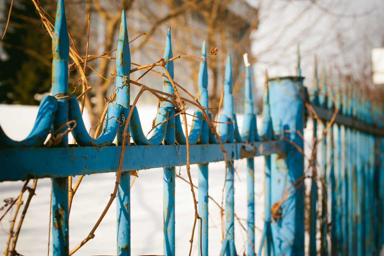 Renowacja Metalowych Ogrodzeń i Balustrad – Kompleksowy Przewodnik Krok po Kroku